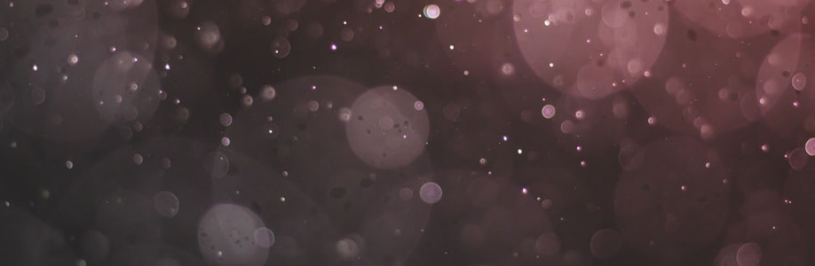 zenaida59x462 Cover Image